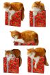 red cat and gift box