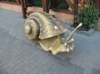 Decorative snail on the street