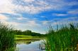 Lake with reeds under blue cloudy sky