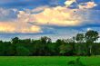 Summer evening on a green meadow