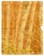 Old, torn piece of paper with the texture of bamboo. Isolated 