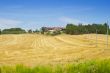 Field