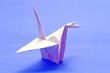 Bird of paper
