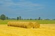 Field