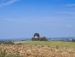 Field