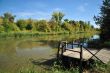 Autumn by river