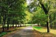 Walking in autumn forest