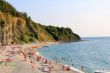 summer landscape with beach