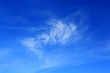 Image of summer fluffy sky