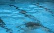 diving