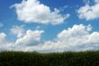 clouds and hedge