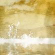 Delicate vintage background