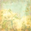 Jasmine in spring - abstract background