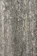 Old wooden texture background