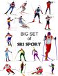 Big set of Ski sport colored silhouettes. Vector illustration