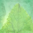 Green vintage background with a texture leaf.