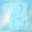 Blue background with a textured leaf 