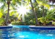 The sun`s rays shine through the leaves of palm trees