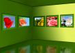 Gallery of flowers.