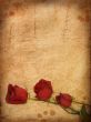 Grunge paper with red roses. 