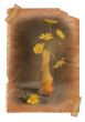 Yellow flower in vase - vintage effect