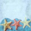 The square background with starfish 