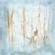 soft grunge background - cracked paint