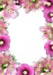 framework from flowers