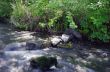 River and stone. Composition of the nature 