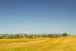 Road in the fields