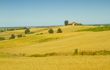 Road in the fields