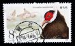 A stamp printed in China shows Brown Eared Pheasant
