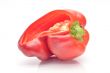 Bulgarian pepper