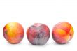 Ripe plums on a white background
