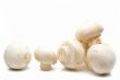 Fresh field mushrooms on a white background