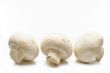 Fresh field mushrooms on a white background