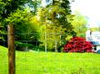Beautiful house Behind Fence