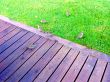 Birds On Decking  