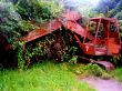 Derelict Digger In Forest 