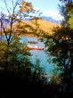 Red Boat Viewed Through Trees