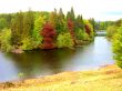 Colourful Trees By River