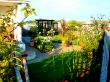 Beautiful Garden with rope
