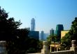 Crane In City Skyline