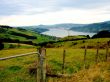 Fence, Fields, Lake And Houses 