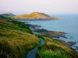 Grassy Hills By Sea
