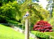 Bird On Fencepost