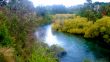 View Up River