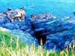 Rocky Shoreline with Crevice