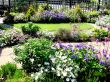 British Garden In Bloom