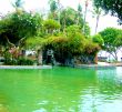 Jungle Swimming Pool